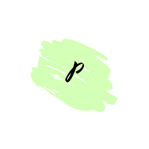 Program PRŮVODCE